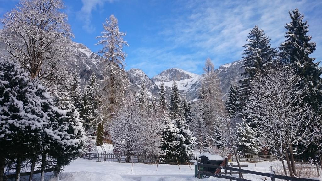 Pension Hofweyer Ramsau am Dachstein Bagian luar foto